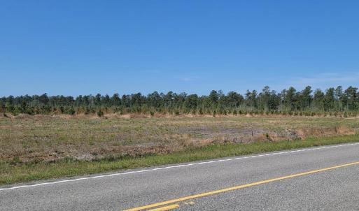Photo #1 of 5570 Joyner Swamp Rd., Galivants Ferry, SC 1.4 acres