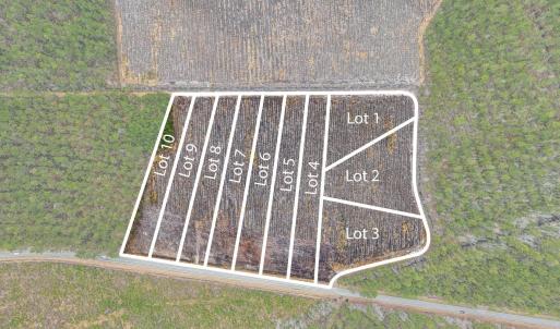 Photo #3 of 5570 Joyner Swamp Rd., Galivants Ferry, SC 1.4 acres