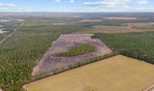 Photo #15 of 5530 Joyner Swamp Rd., Galivants Ferry, SC 1.7 acres