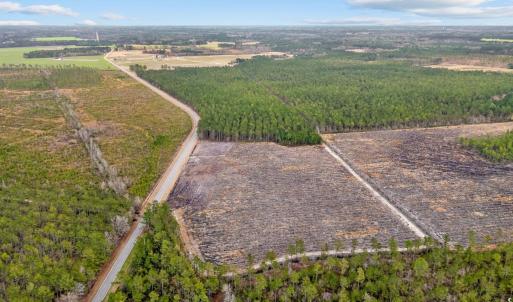 Photo #12 of 5550 Joyner Swamp Rd., Galivants Ferry, SC 1.7 acres