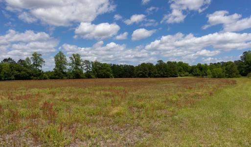 View of local wilderness featuring a forest view a