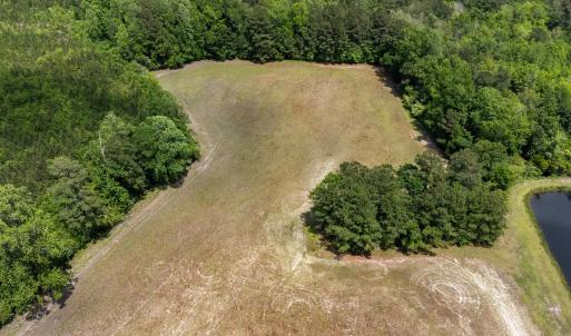 Bird's eye view with a water view and a wooded vie