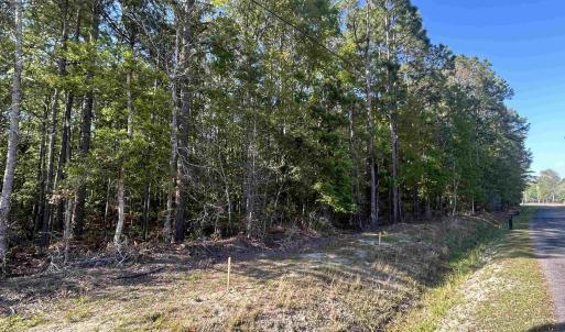 Photo #1 of TBD Buck Dr., Georgetown, SC 1.0 acres
