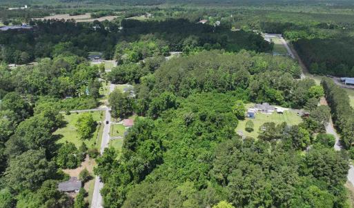 Bird's eye view with a forest view