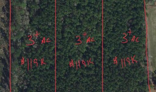 Photo #1 of TBD Joyner Swamp Rd., Galivants Ferry, SC 3.0 acres