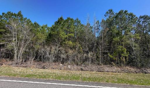Photo #3 of TBD Joyner Swamp Rd., Galivants Ferry, SC 3.0 acres
