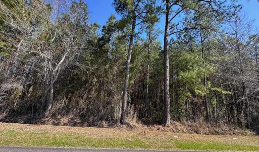 Photo #4 of TBD Joyner Swamp Rd., Galivants Ferry, SC 3.0 acres