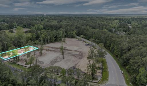 Bird's eye view with a forest view