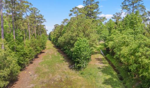 Photo #6 of TBD Duncan Ln., Conway, SC 1.9 acres