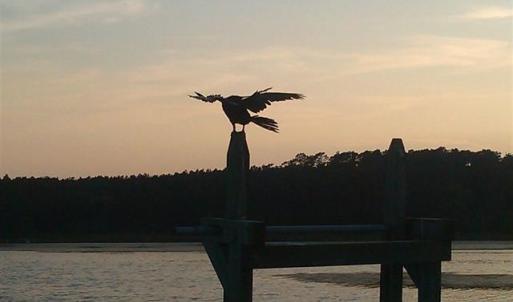 Photo #23 of Lot 17 Golden Bear Dr., Pawleys Island, SC 0.5 acres