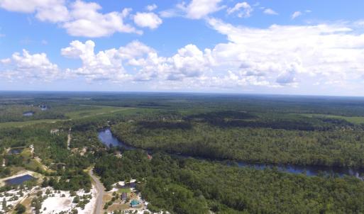 Drone / aerial view of a forest and a nearby body