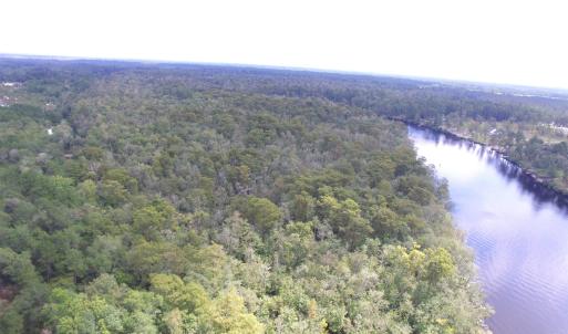 Bird's eye view of a forest and a large body of wa