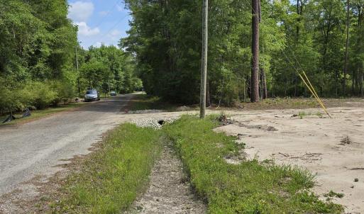 View of asphalt street with a view of trees