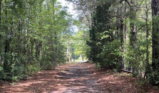 Photo #2 of TBD Highway 90, Longs, SC 1.1 acres
