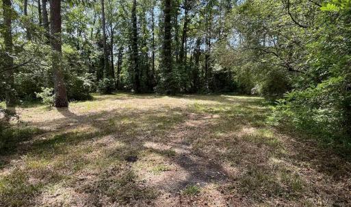 Photo #3 of TBD Highway 90, Longs, SC 1.1 acres