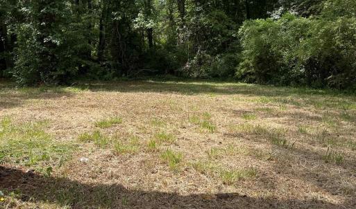 Photo #4 of TBD Highway 90, Longs, SC 1.1 acres