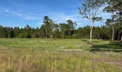 Photo #10 of 114 Belland Ct., Loris, SC 1.3 acres