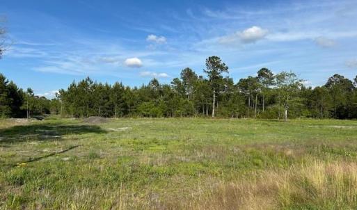 Photo #8 of 114 Belland Ct., Loris, SC 1.3 acres
