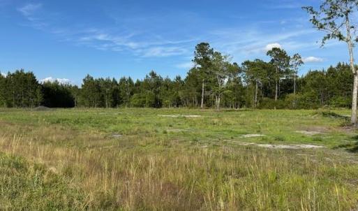 Photo #9 of 114 Belland Ct., Loris, SC 1.3 acres