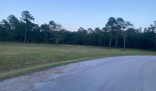 Photo #2 of 114 Belland Ct., Loris, SC 1.3 acres