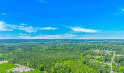 Bird's eye view of a forest