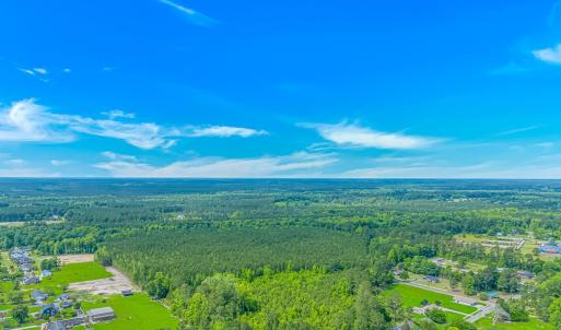 Bird's eye view of a forest