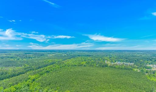 Bird's eye view of a forest