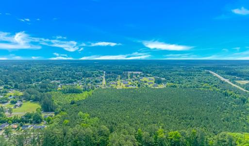 Bird's eye view of a forest