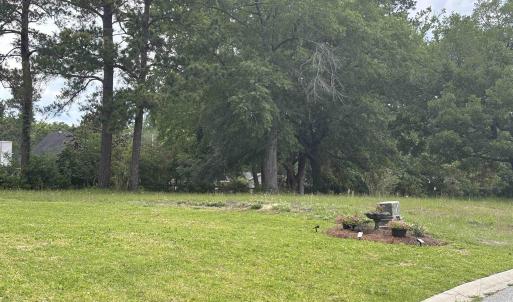 Photo #9 of 302 Chaff Ct., Georgetown, SC 0.2 acres