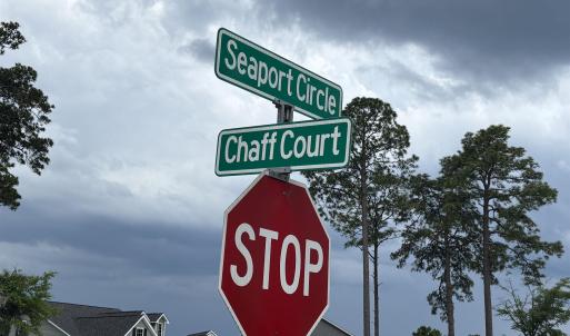 Photo #11 of 302 Chaff Ct., Georgetown, SC 0.2 acres