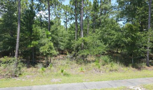 View of undeveloped land