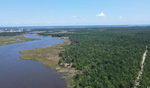 Bird's eye view of a forest and a large body of wa