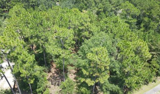 Drone / aerial view of a heavily wooded area