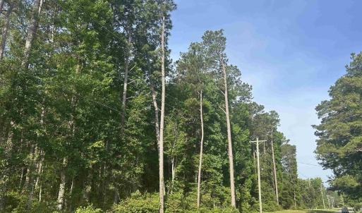 Photo #1 of TBD Roscoe Rd., Myrtle Beach, SC 9.3 acres