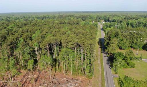 Aerial view of a forest