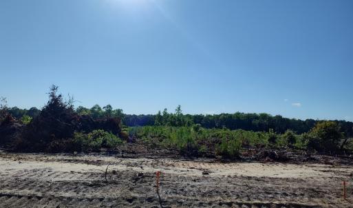 Photo #2 of TBD Albatross Rd, Georgetown, SC 5.8 acres