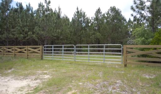 Photo #2 of 2231 Barts Rd., Loris, SC 9.9 acres