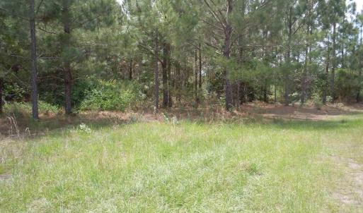 Photo #6 of 2231 Barts Rd., Loris, SC 9.9 acres