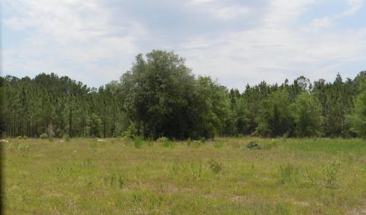 Photo #10 of 2231 Barts Rd., Loris, SC 9.9 acres