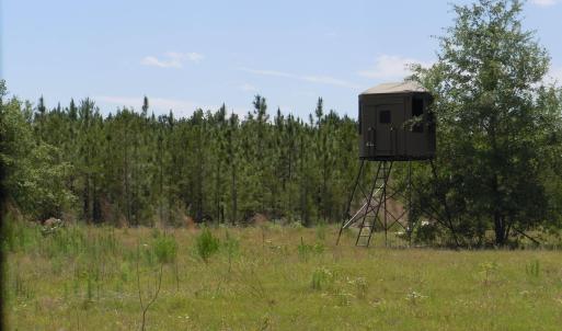 Photo #4 of 2231 Barts Rd., Loris, SC 9.9 acres