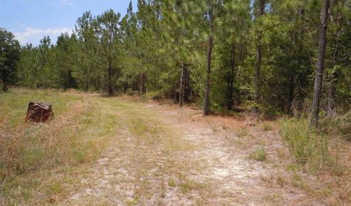 Photo #3 of 2231 Barts Rd., Loris, SC 9.9 acres