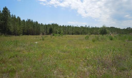 Photo #11 of 2231 Barts Rd., Loris, SC 9.9 acres