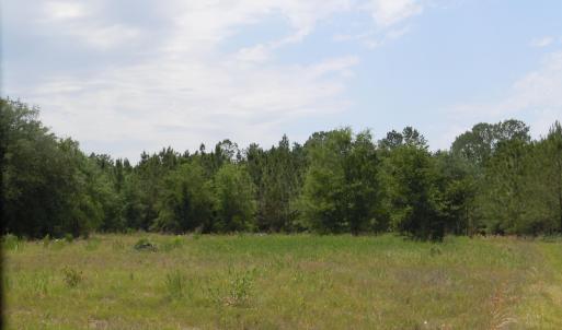 Photo #1 of 2231 Barts Rd., Loris, SC 9.9 acres