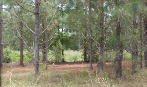Photo #5 of 2231 Barts Rd., Loris, SC 9.9 acres