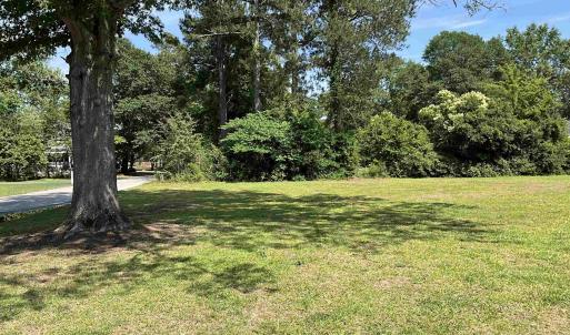 View of grassy yard