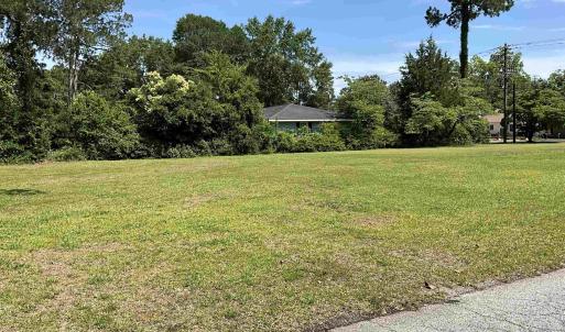View of grassy yard