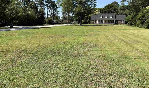 View of grassy yard