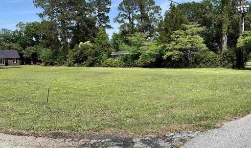 View of grassy yard
