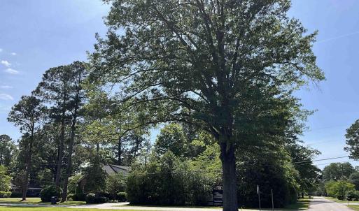 View of home's community with a yard