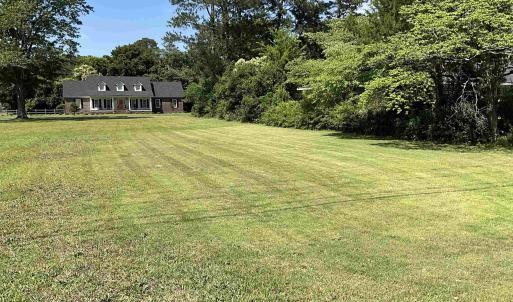 View of green lawn
